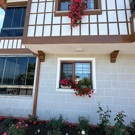 Villa Rizekonak Luxury Private Garden Ac Sea View